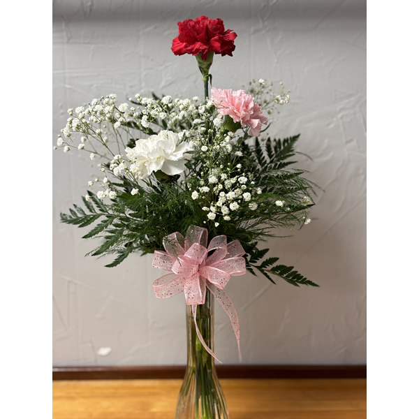 3 Carnations in a Vase
