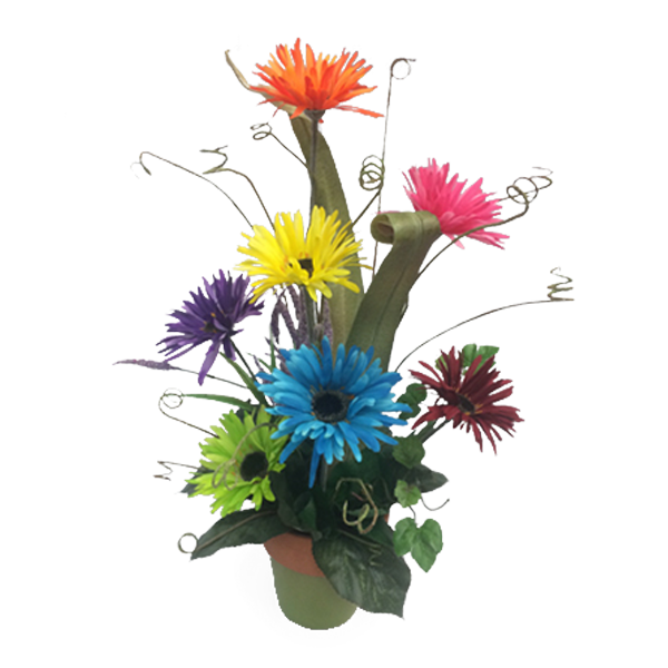 Cheery Gerberas