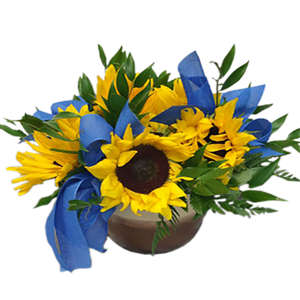 Bold Sunflowers