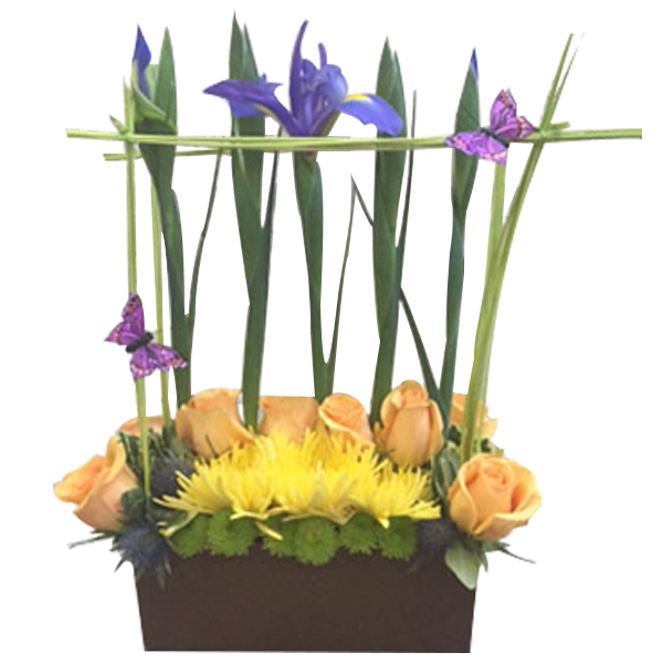 Contemporary Spring Garden