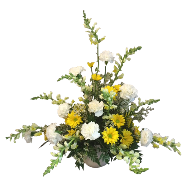 Yellow On White