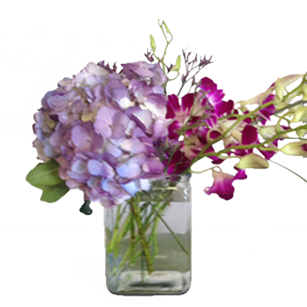 Blooms in a Cube