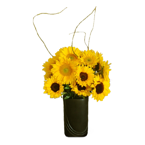 Sunflower Bright