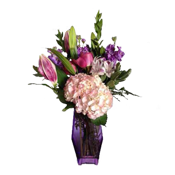 Lavender Lush