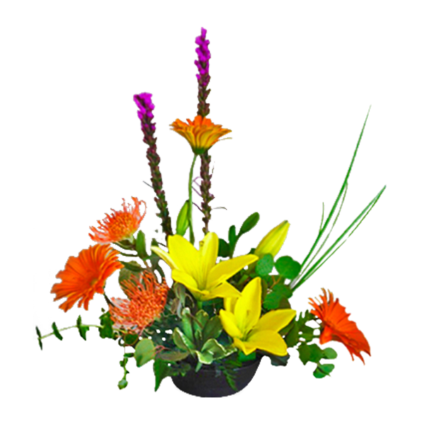 Happy Day