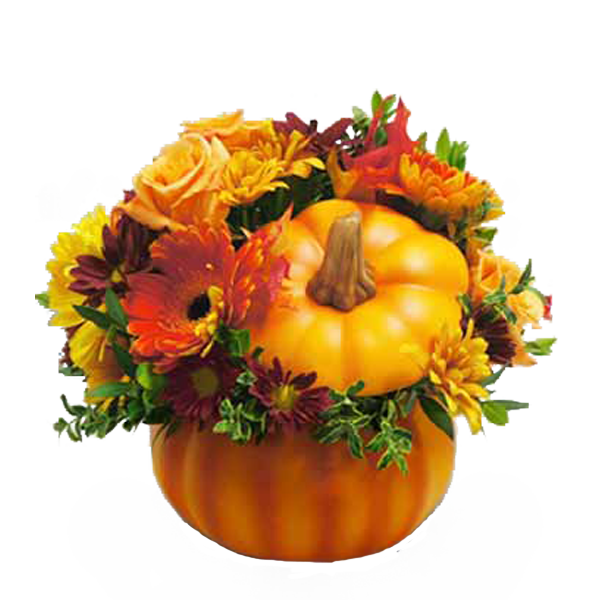 Pumpkin Patch
