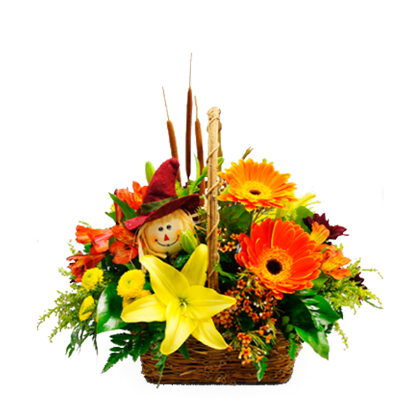 Whimsical Fall