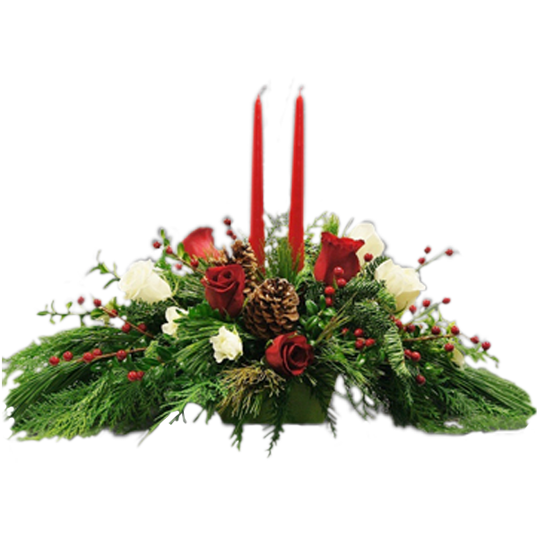 Roses at Christmas
