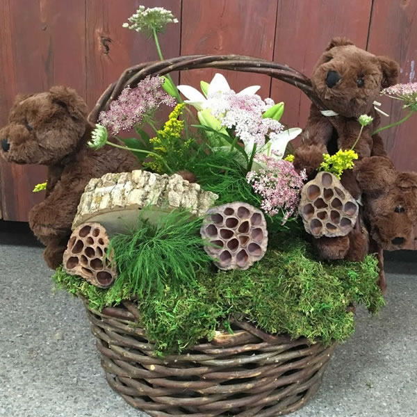 Basket and Bears