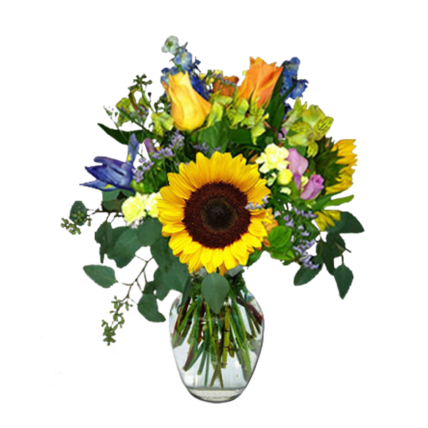 Sunflower Medley