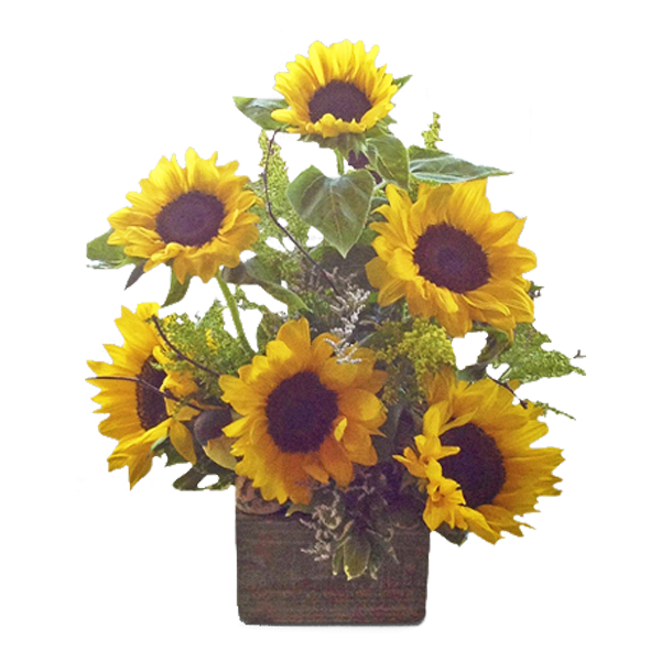 Sunny Sunflowers