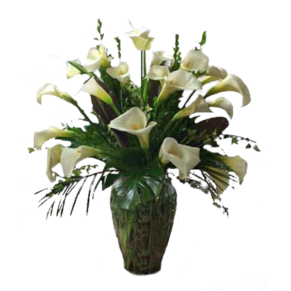 Beautiful Surprise