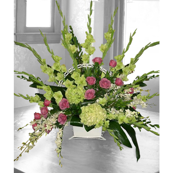 Spectacular Sympathy