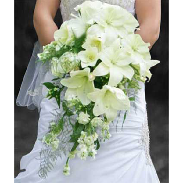 Cascading Lilies