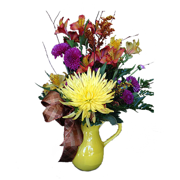 Delightful Pitcher