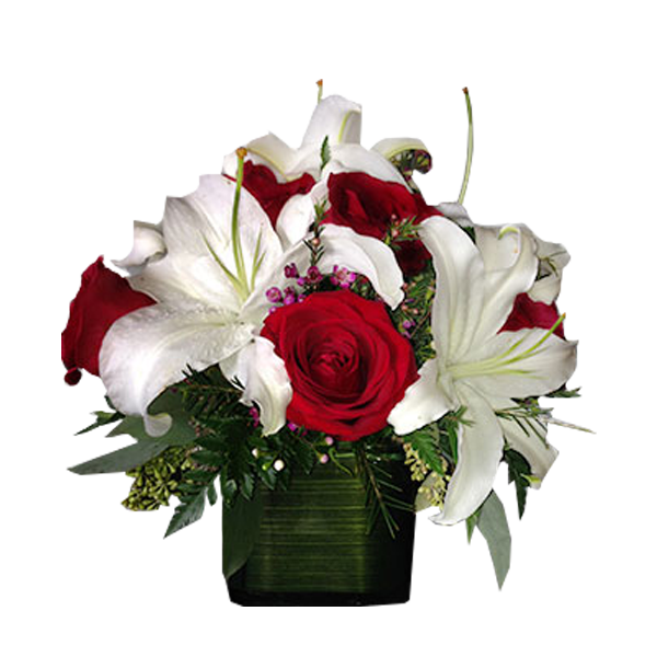 Red & White Delight