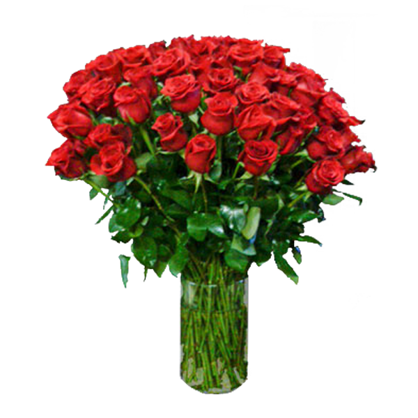 One Hundred Roses