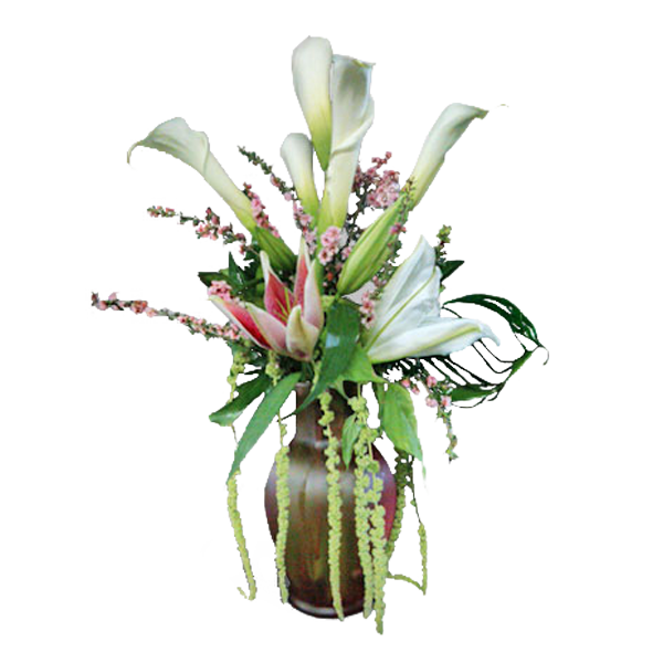 Elegant Lilies