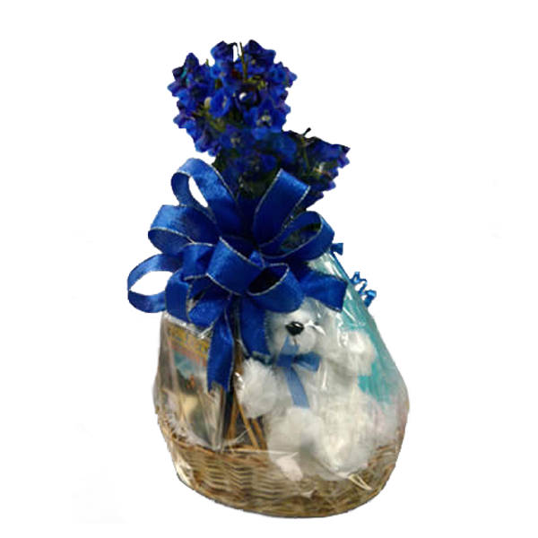 Baby Boy Gift Basket