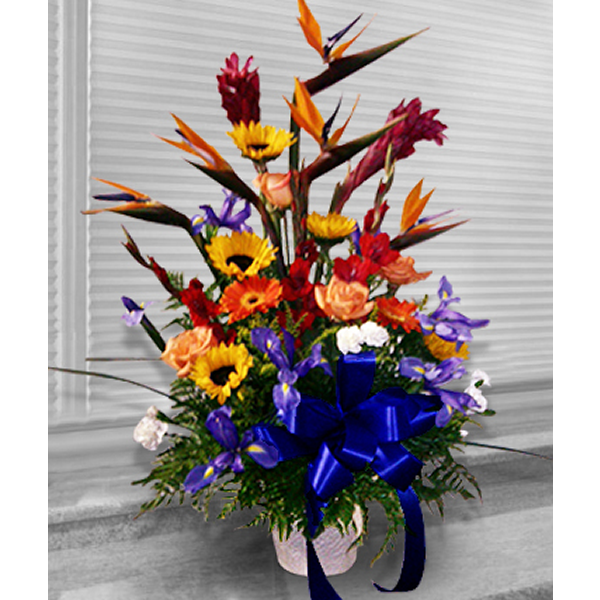 Vibrant Sympathy