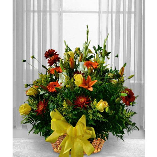 Autumn Colored Sympathy