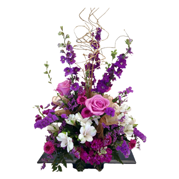 Love Those Purples!