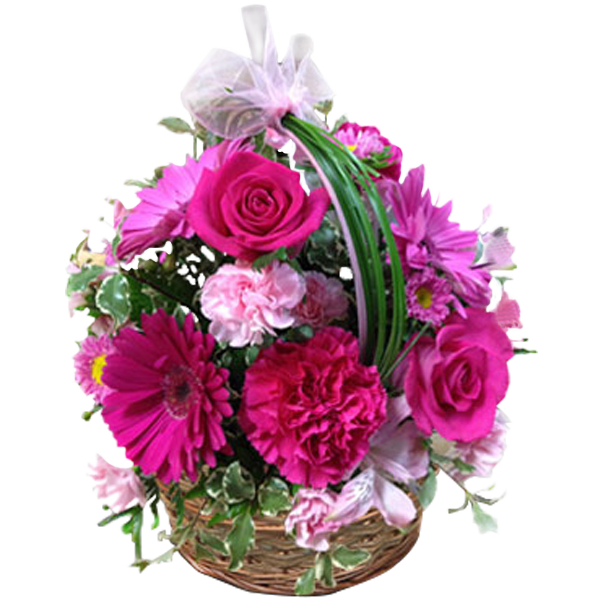Basket of Joy