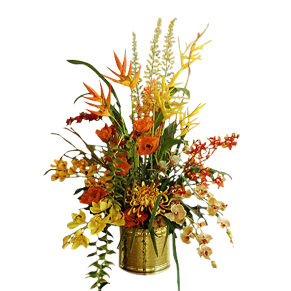 Lasting Tropicals