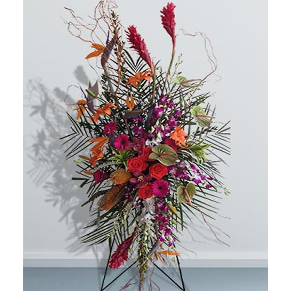 Wistful Tropicals