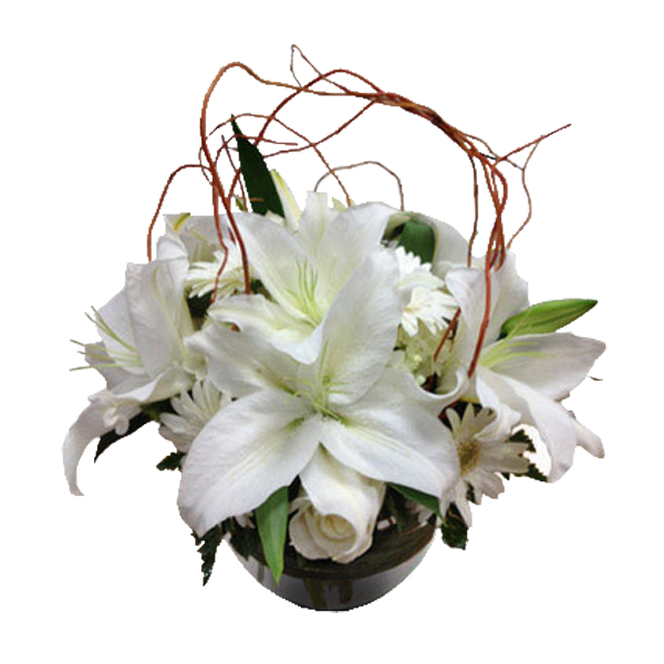 Sheltered Whites