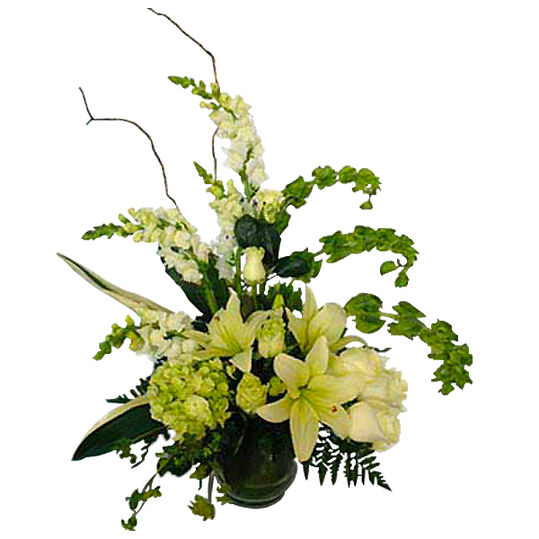 Green Twist