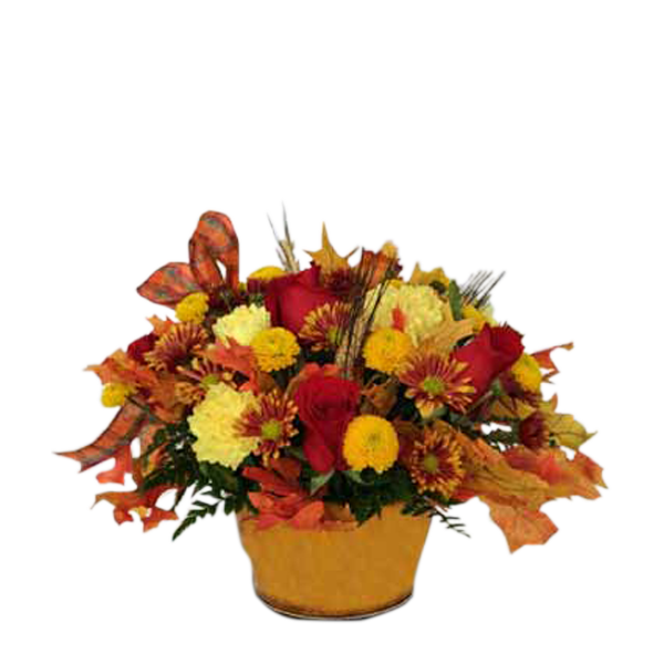 Rosey Autumn