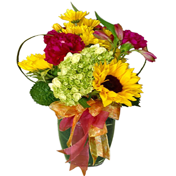 Sunshine and Flowers