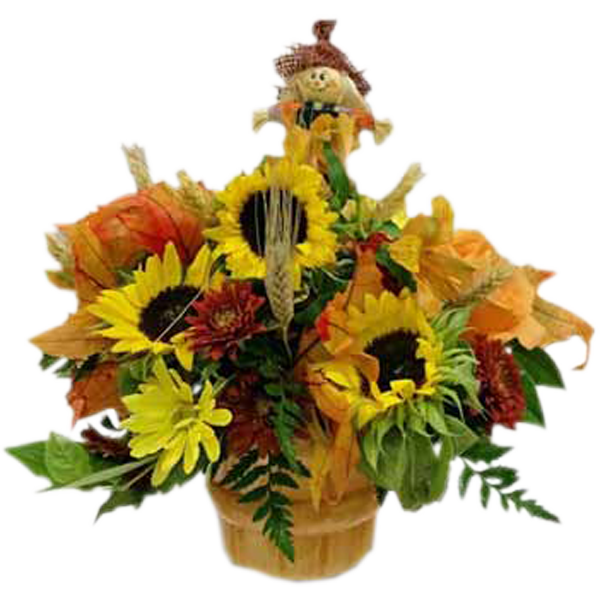 Sunflower Harvest