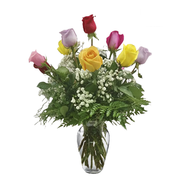 Rainbow of Roses