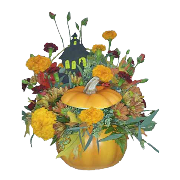 Bewitched Pumpkin