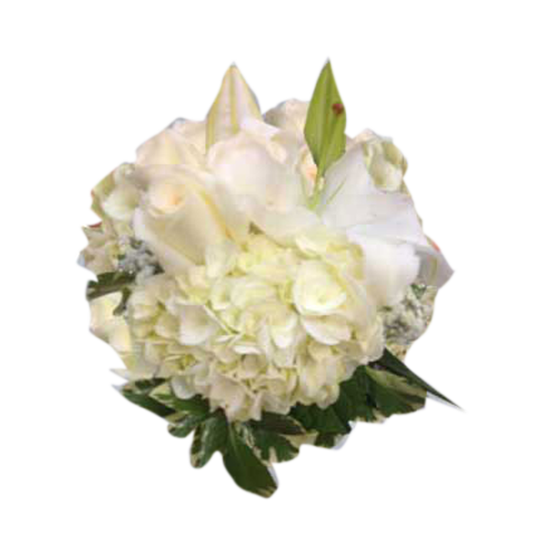 Bridal Whites