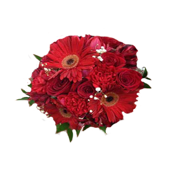 Ravishing Reds