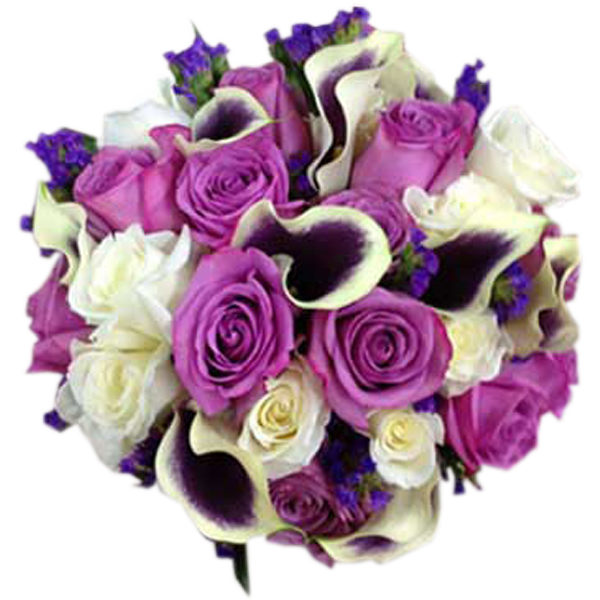 Lovely Purples