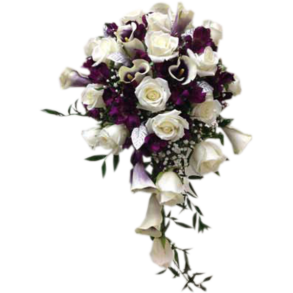 Exquisite Purples