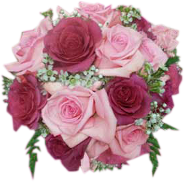 Two Shades of Pink