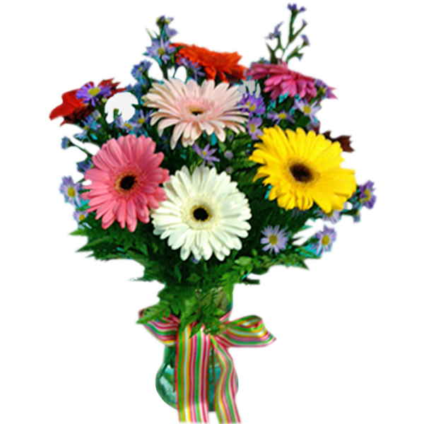 Have Gerbera Day!