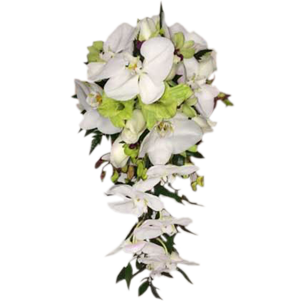 Orchid Cascade