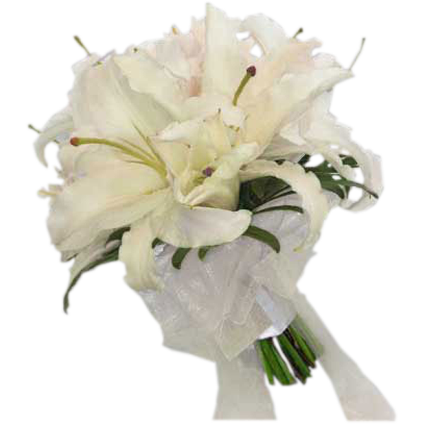 Lily White Bridal