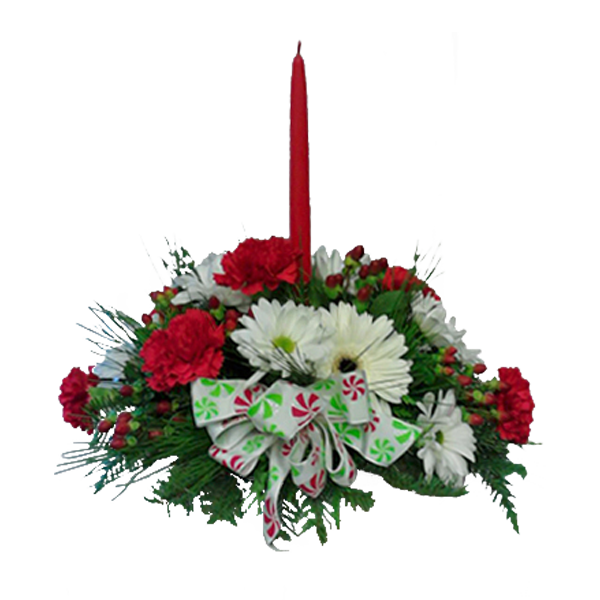 Holiday Celebration