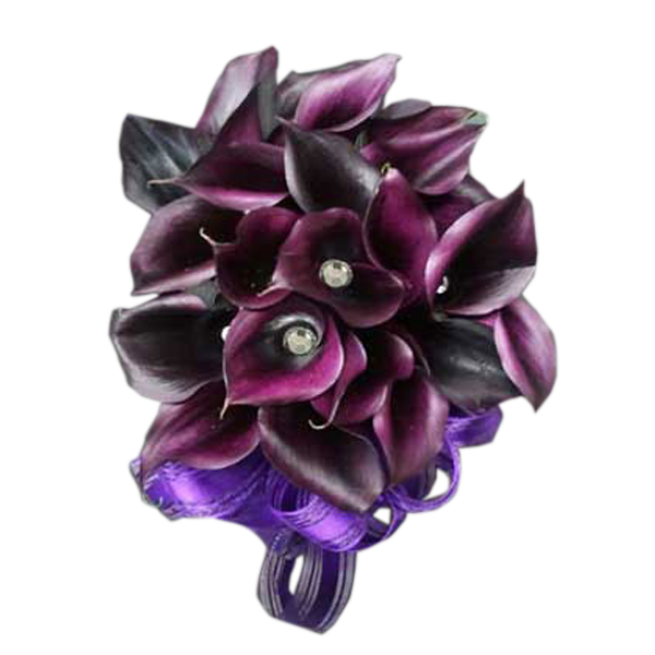 Plum Black Callas