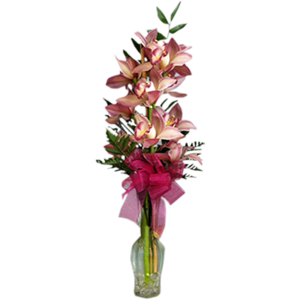 Cymbidium Orchids Bud Vase