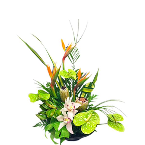 Tropical Green