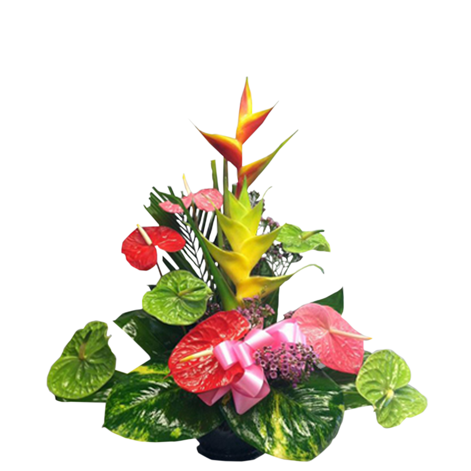 Hawaiian Hearts