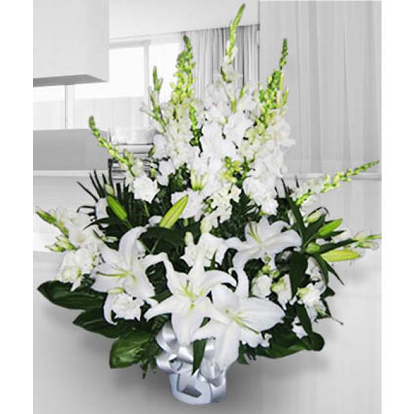 Sympathy in White